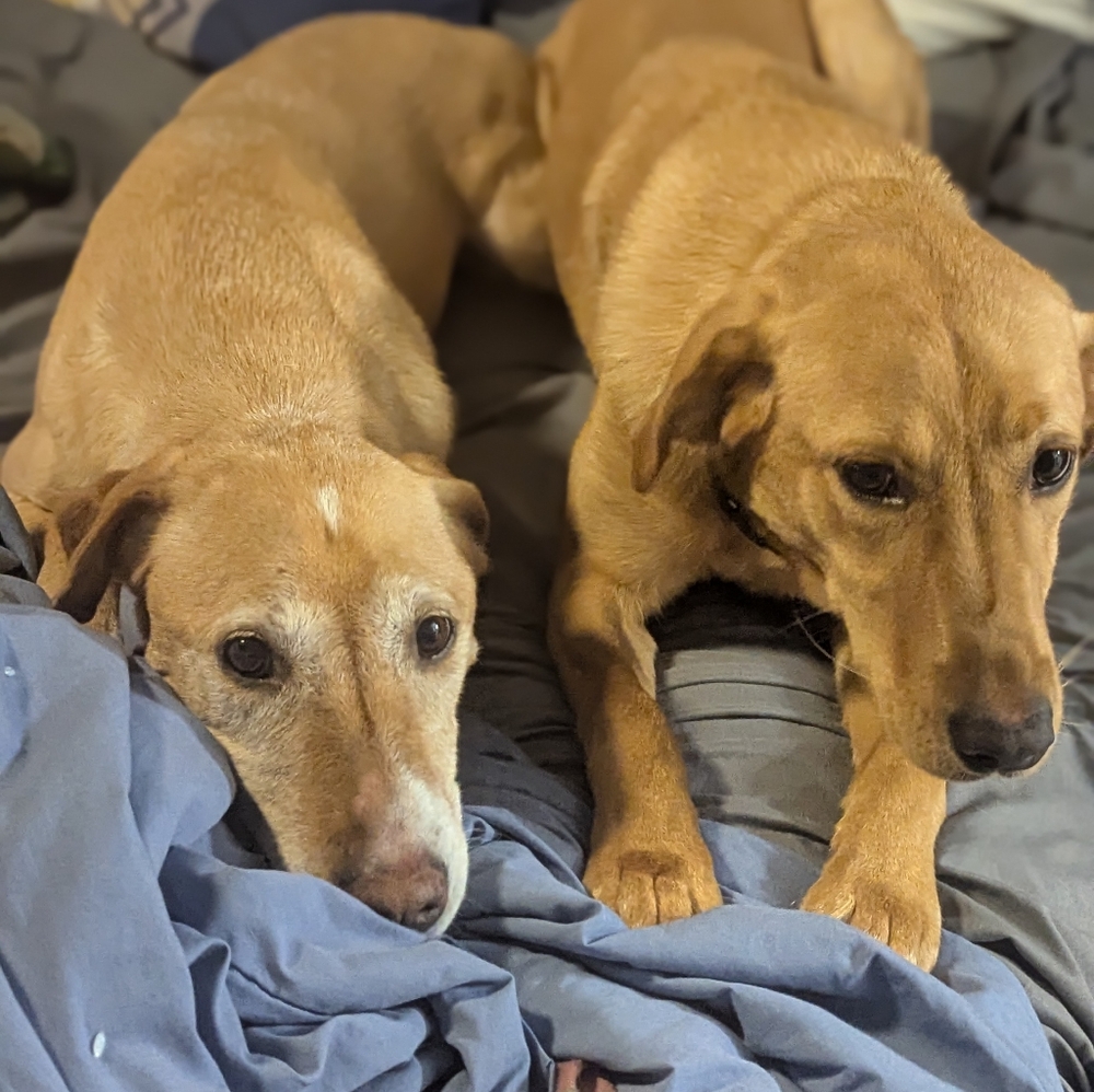 Meet your Posher, Karen